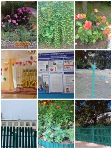 Collage_20260630_203541